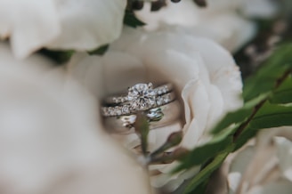 silver diamond ring on white rose