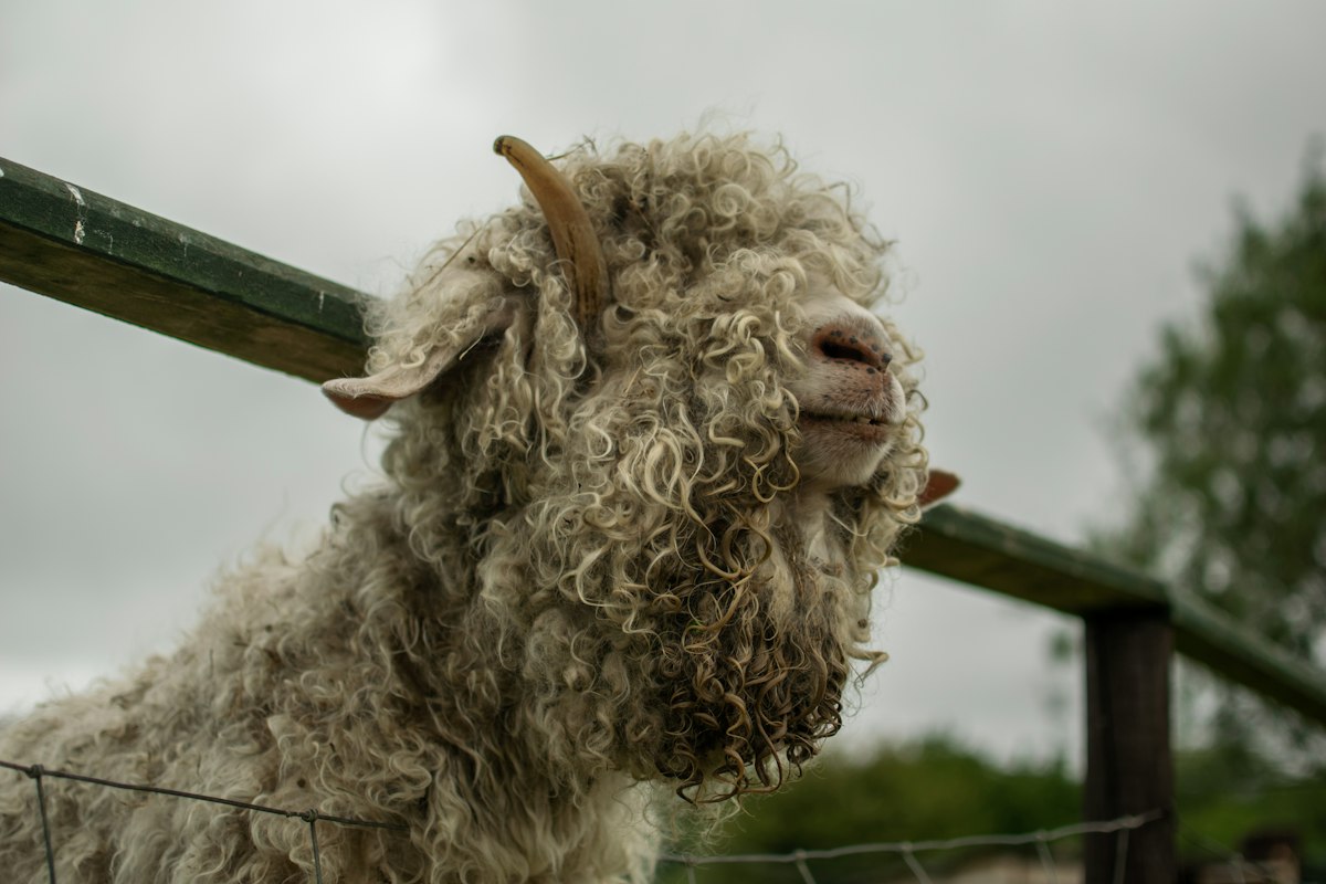 Boerderij’t Geertje