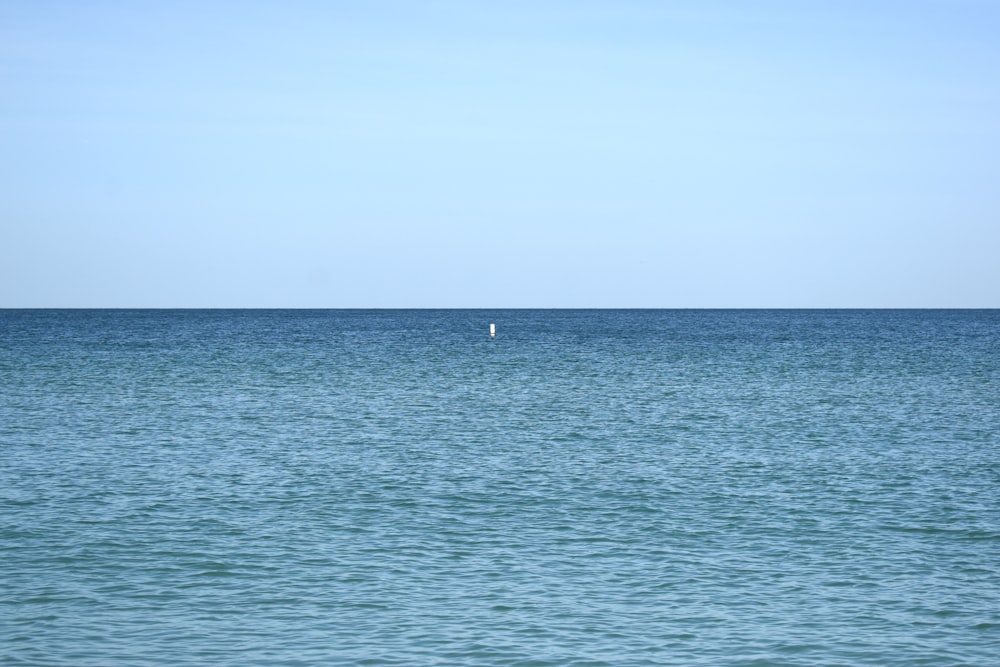 body of water during daytime