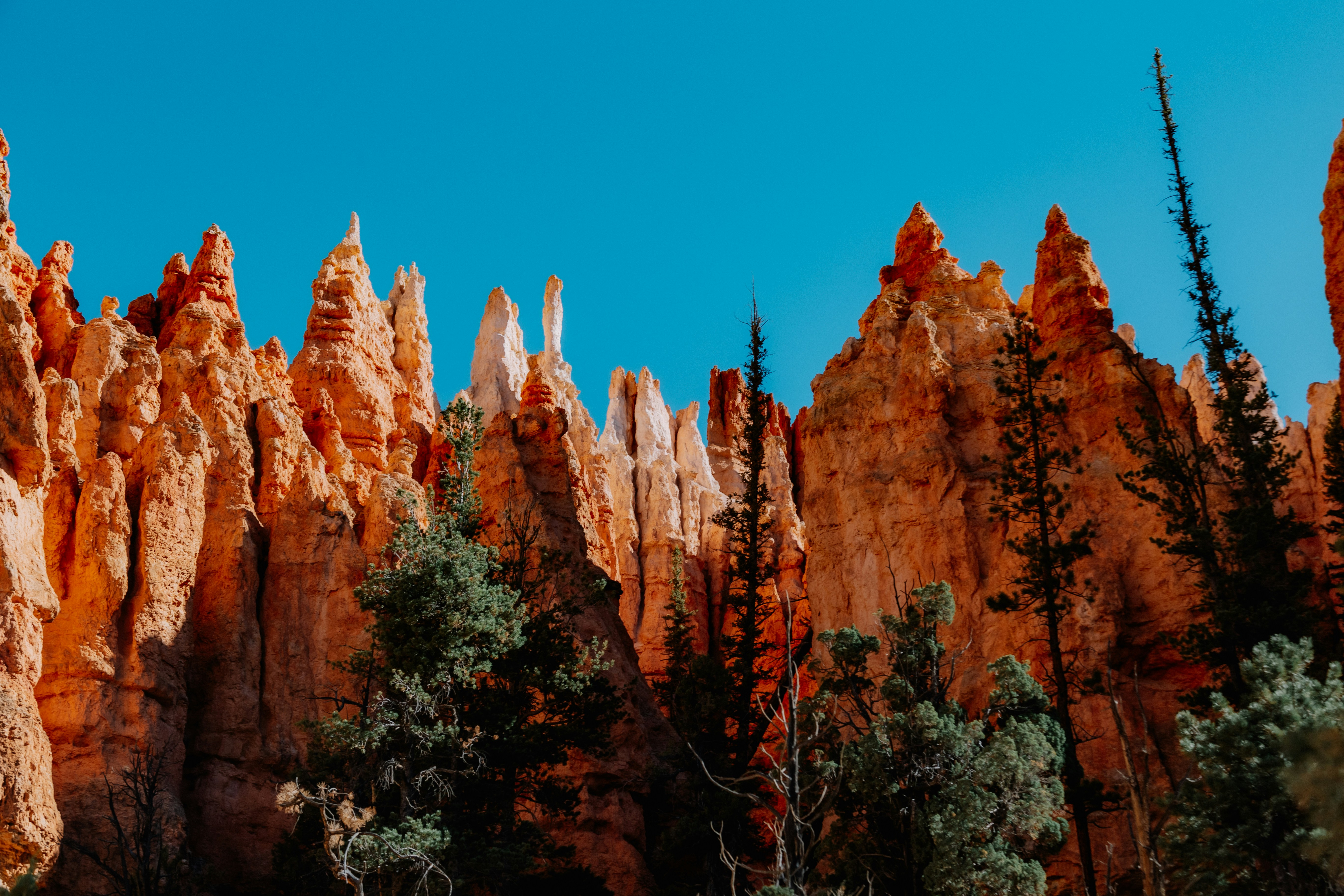 Photo by isaacmartin