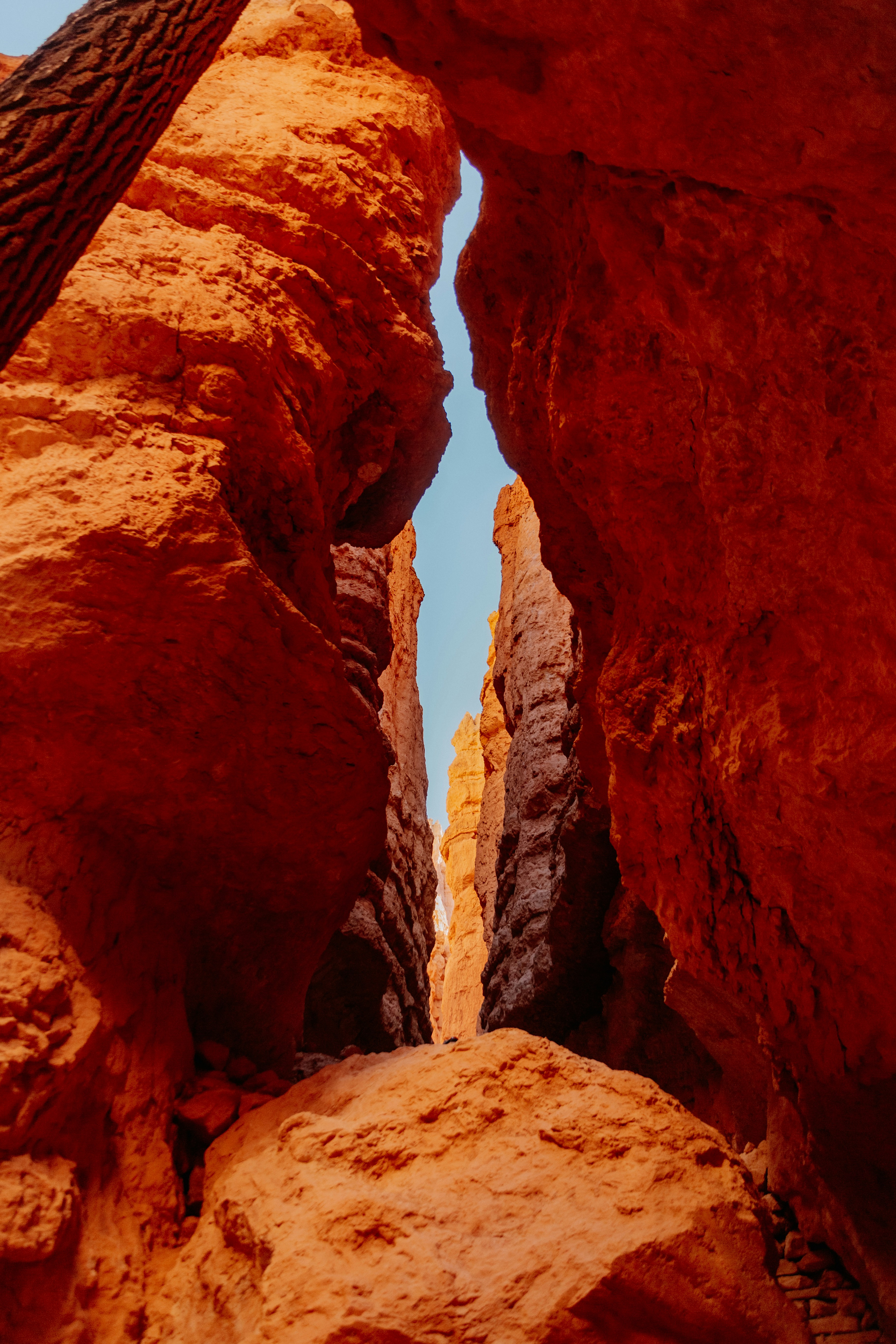 Photo by isaacmartin