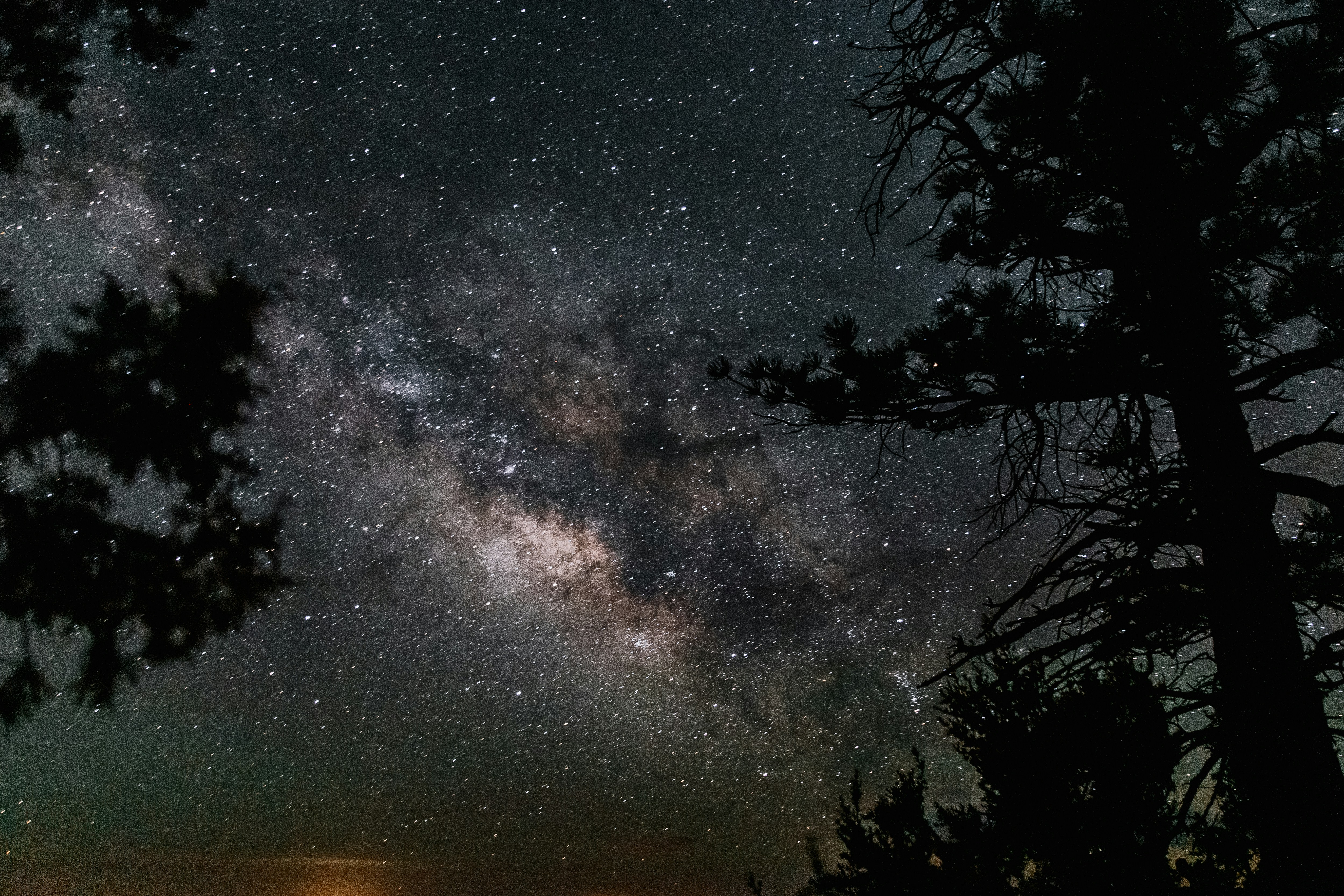 Photo by isaacmartin