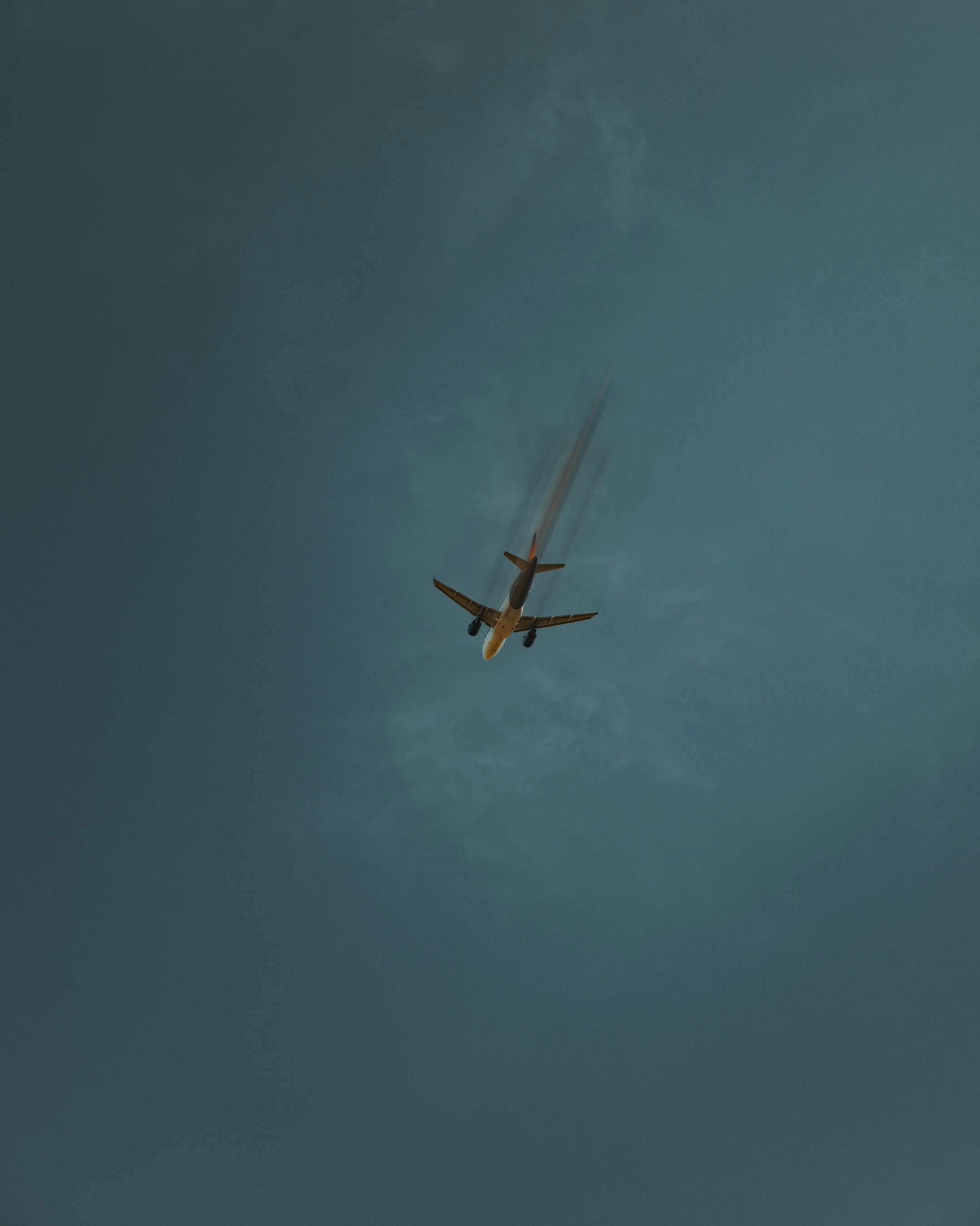 Photo by lazrodriguez__