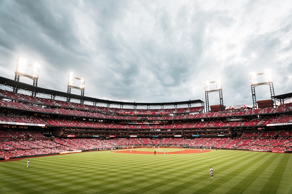 people on green grass field during daytime