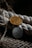 Two intricately designed coins are placed against a textured background of coiled rope and woven fabric. One coin is gold-colored, while the other is silver-toned, each featuring detailed inscriptions and symbols.