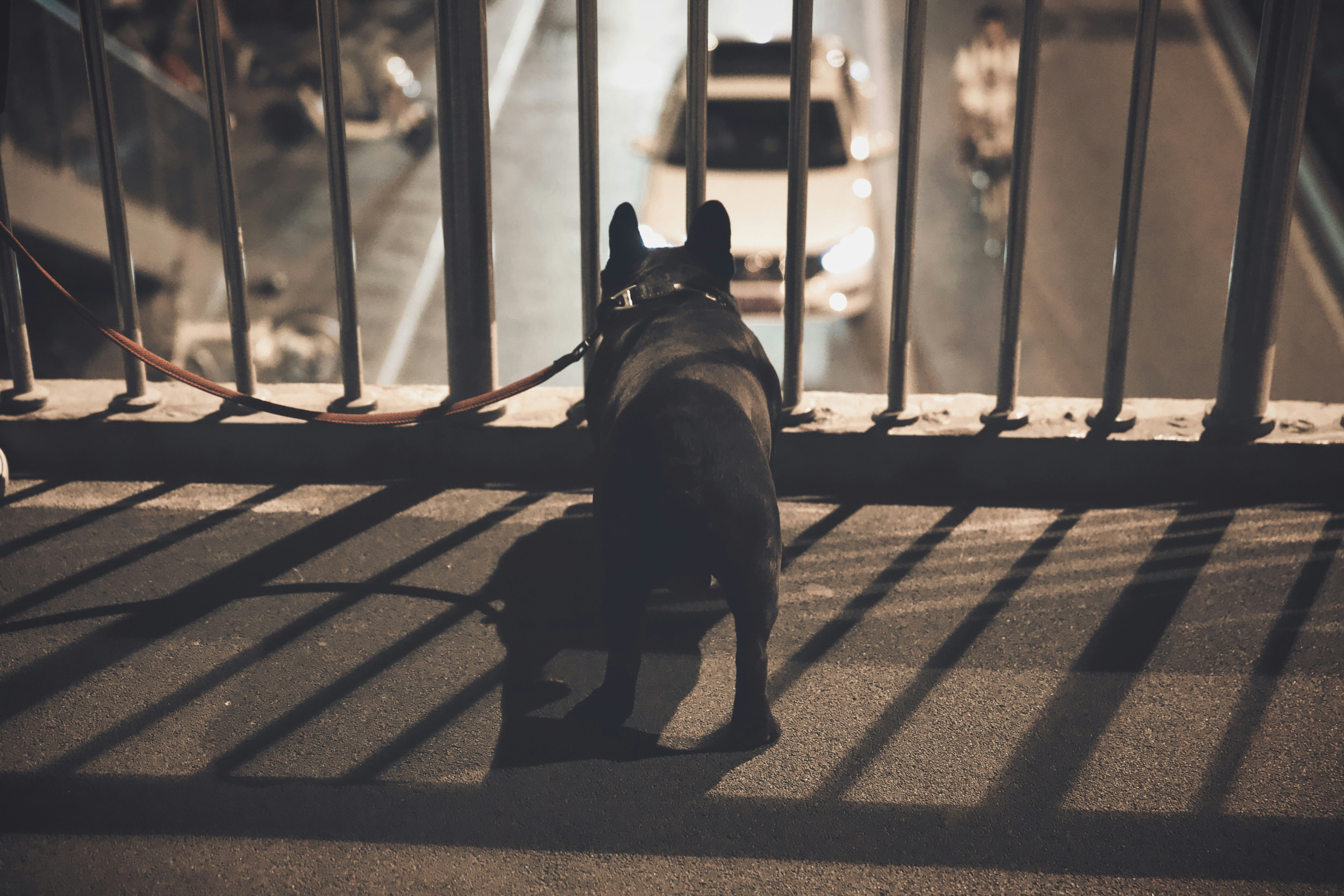 Photo by tommyskywalker