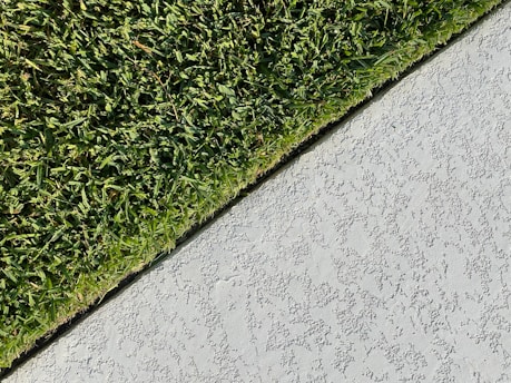 green grass on white concrete wall