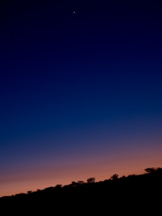A serene astrologer consulting ancient star charts under a twilight sky.