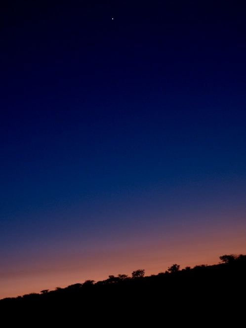 A serene astrologer consulting ancient star charts under a twilight sky.