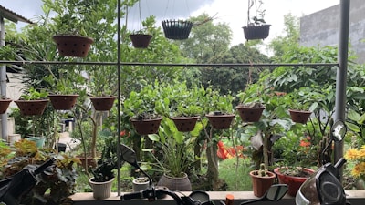 A bright garden space showing vintage gardening tools and pots packed with lush plants.