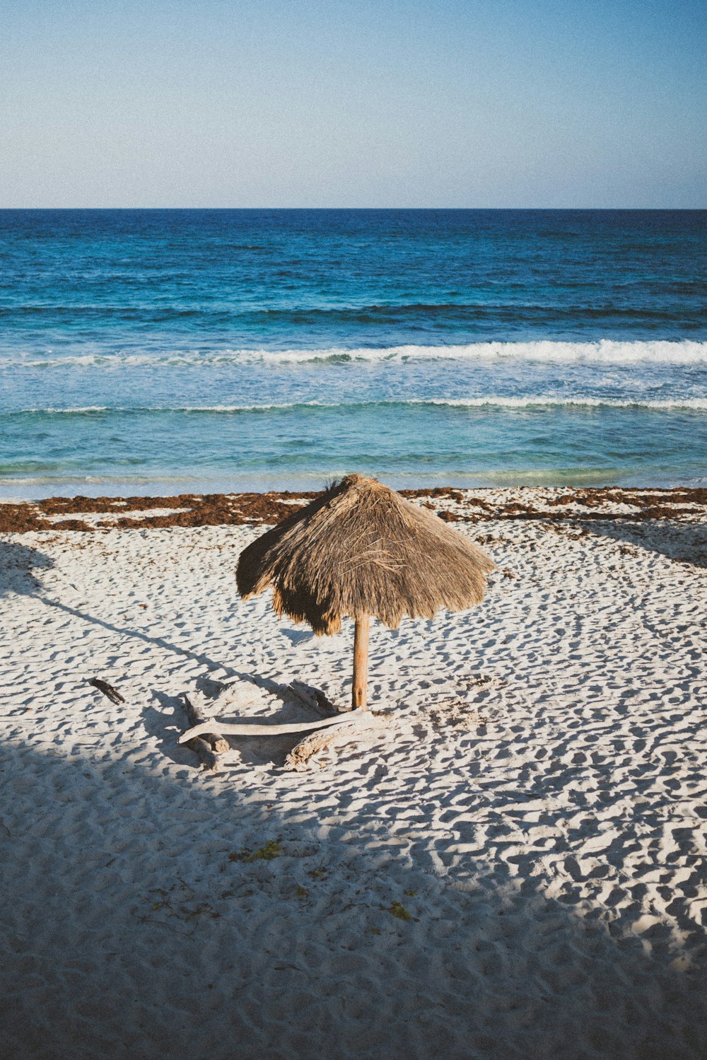 brown wooden stick on beach shore during daytime