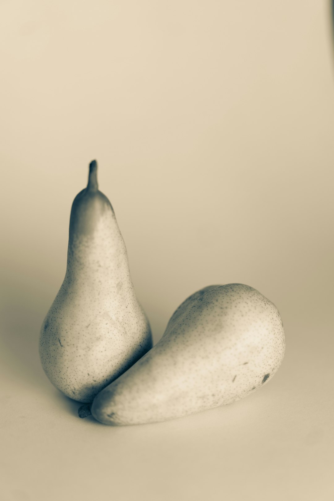 2 white stones on white surface