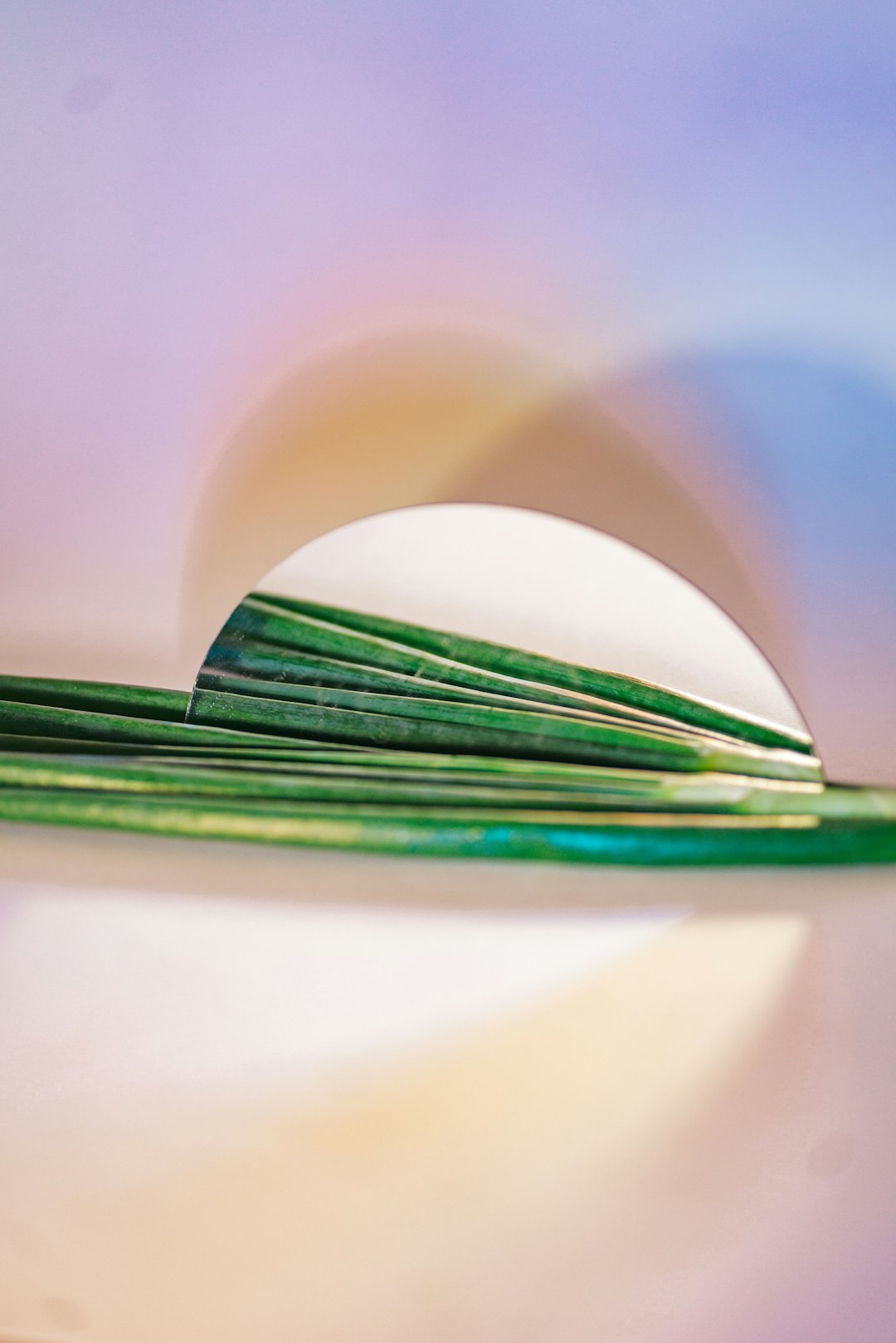 white egg on green leaf