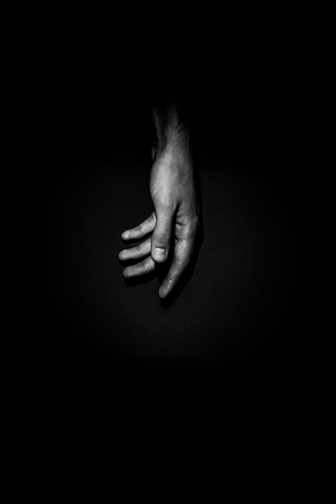 grayscale photo of left human hand