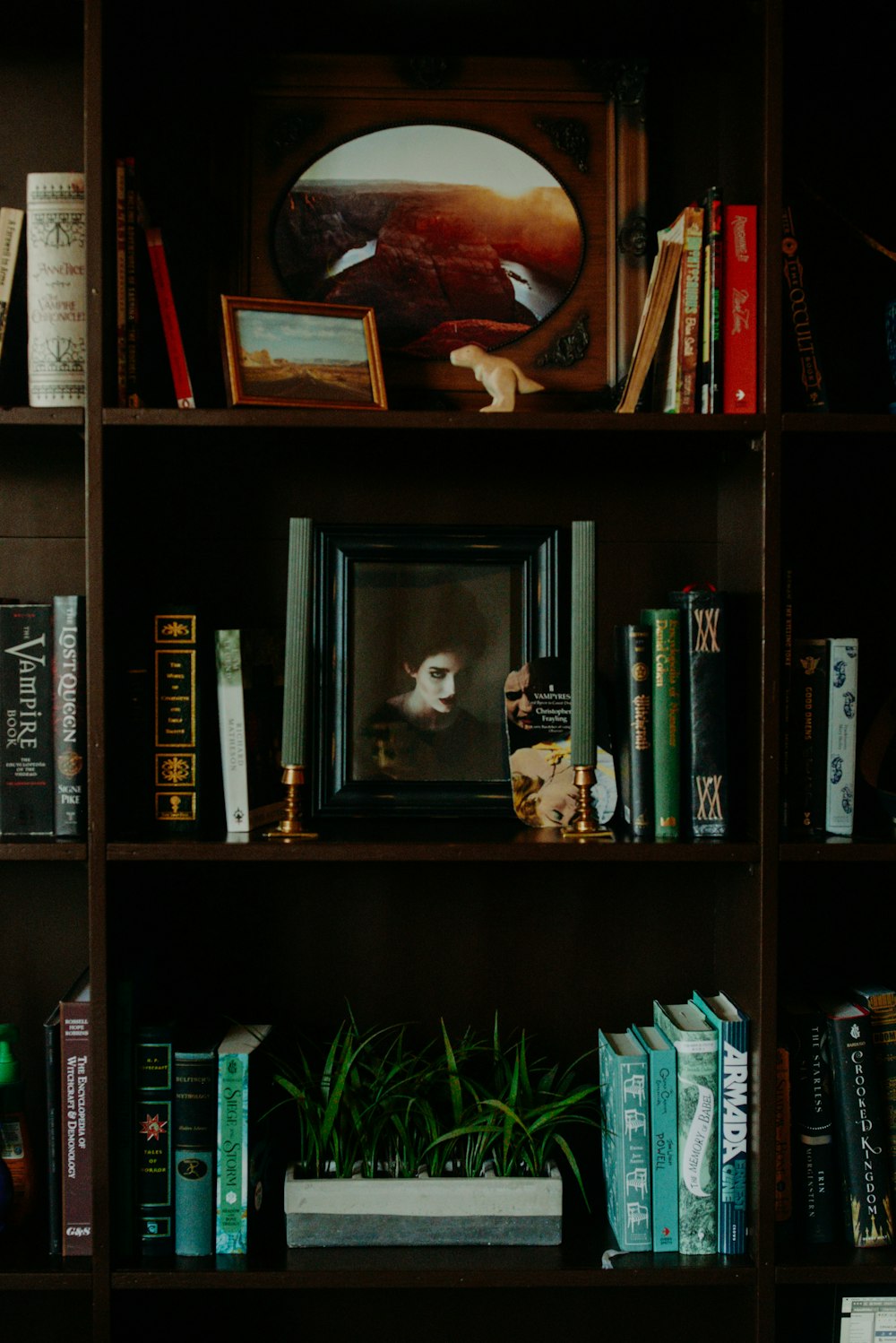 brown wooden shelf with books