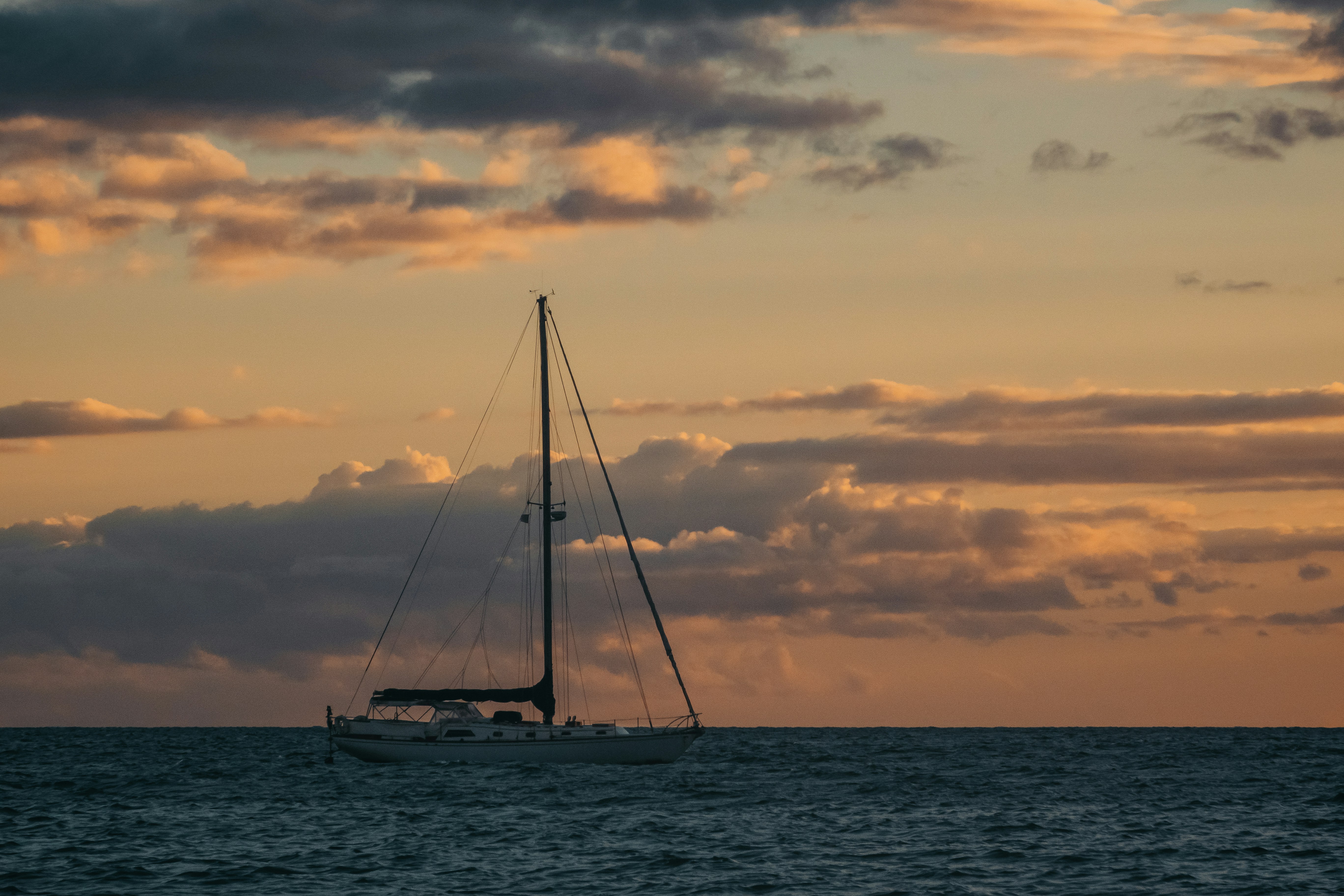 Photo by kalaniparker