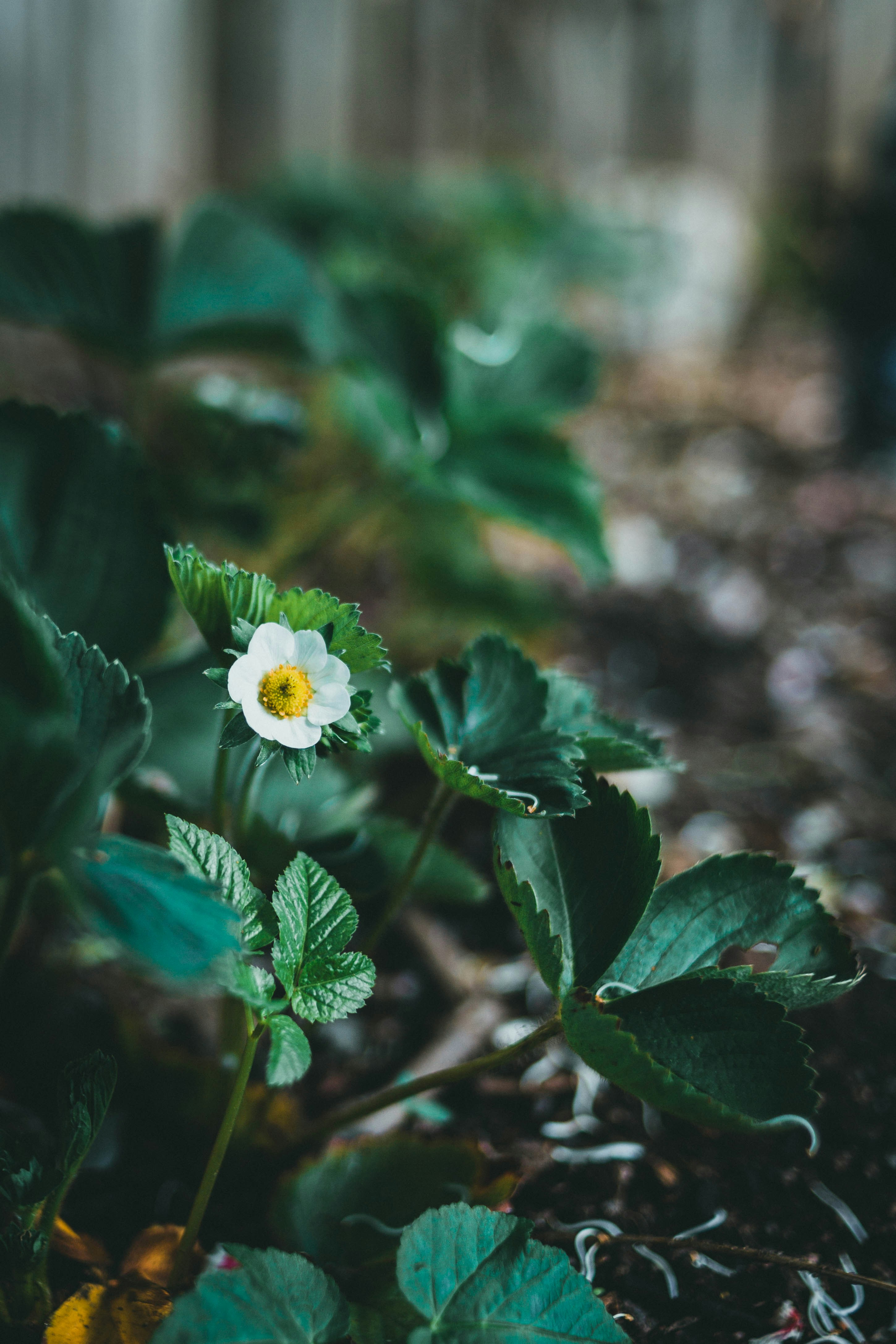 Photo by theshuttervision