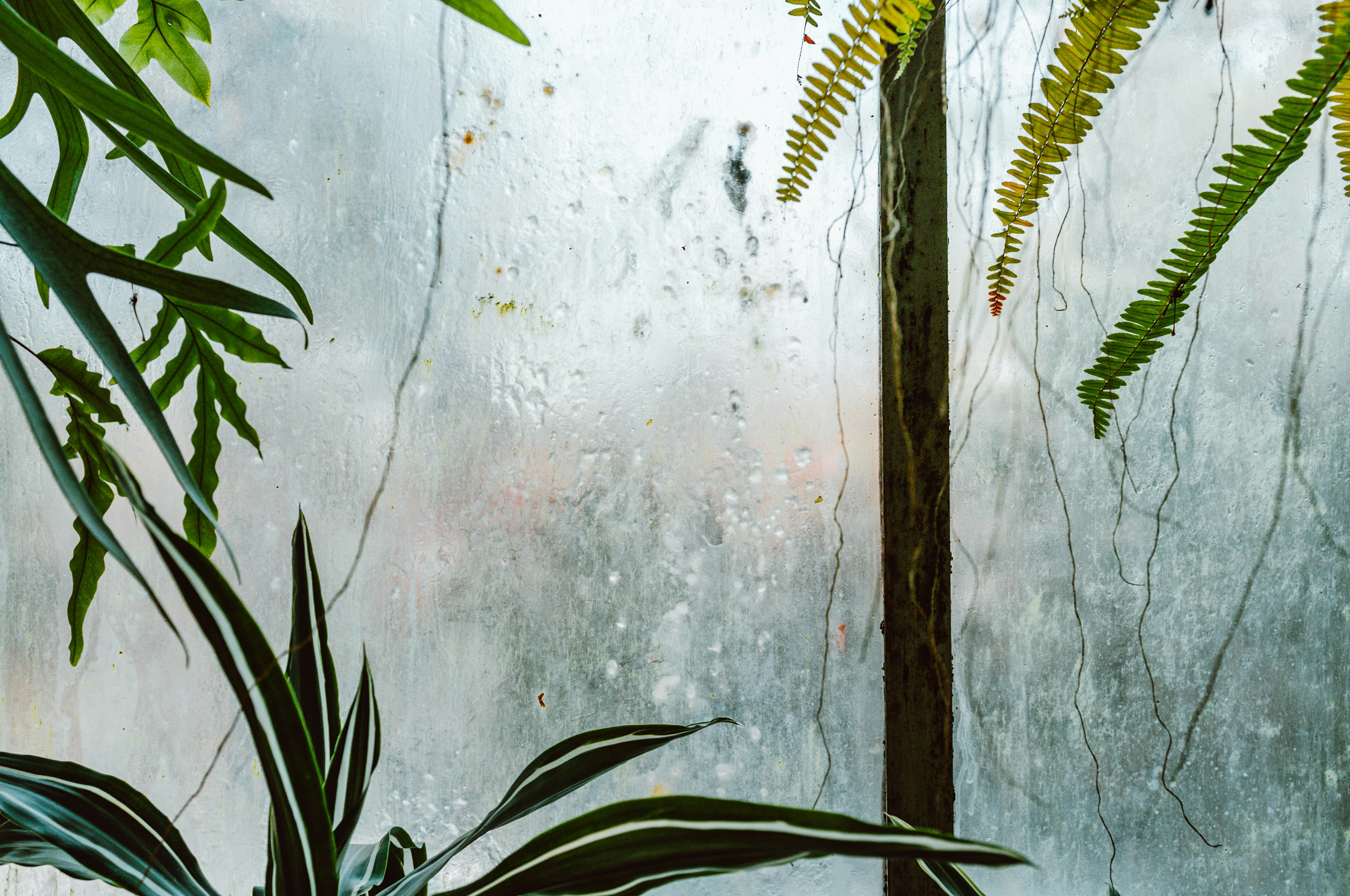 Photo by moisamihai092