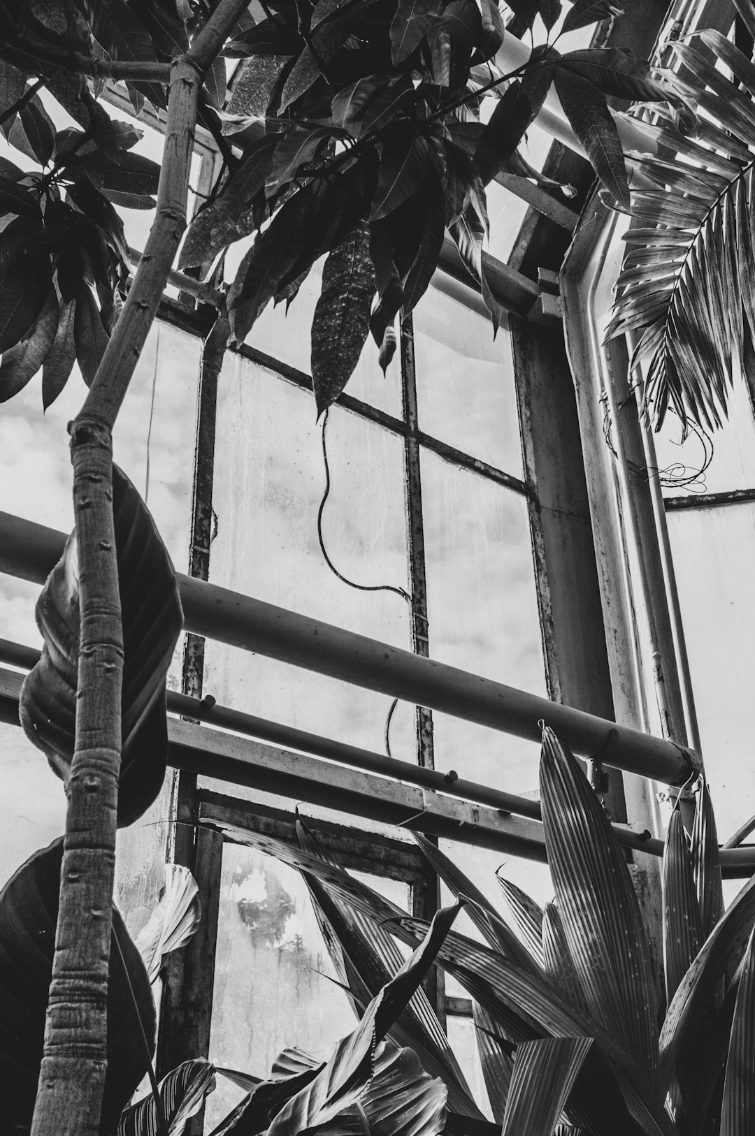 grayscale photo of person in black jacket and pants sitting on window