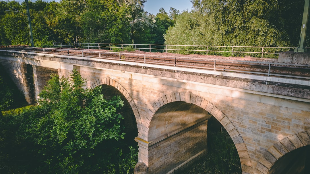 brown concrete bridge surrounded by green trees during daytime