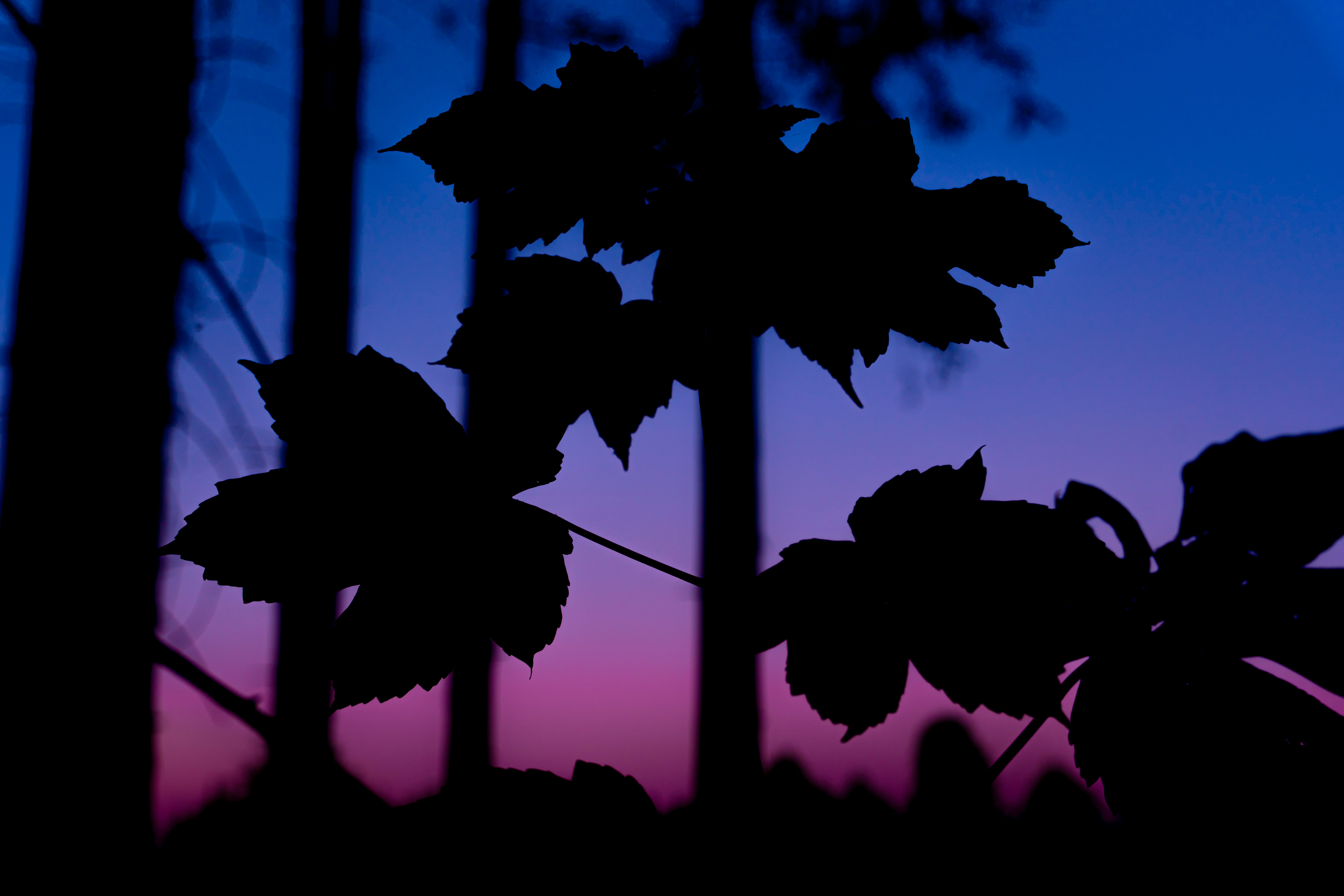 4K Wallpaper for Desktop | 20 best free photos on Unsplash