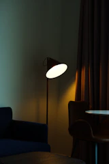 Comfortable lounge chair beside a stylish floor lamp.