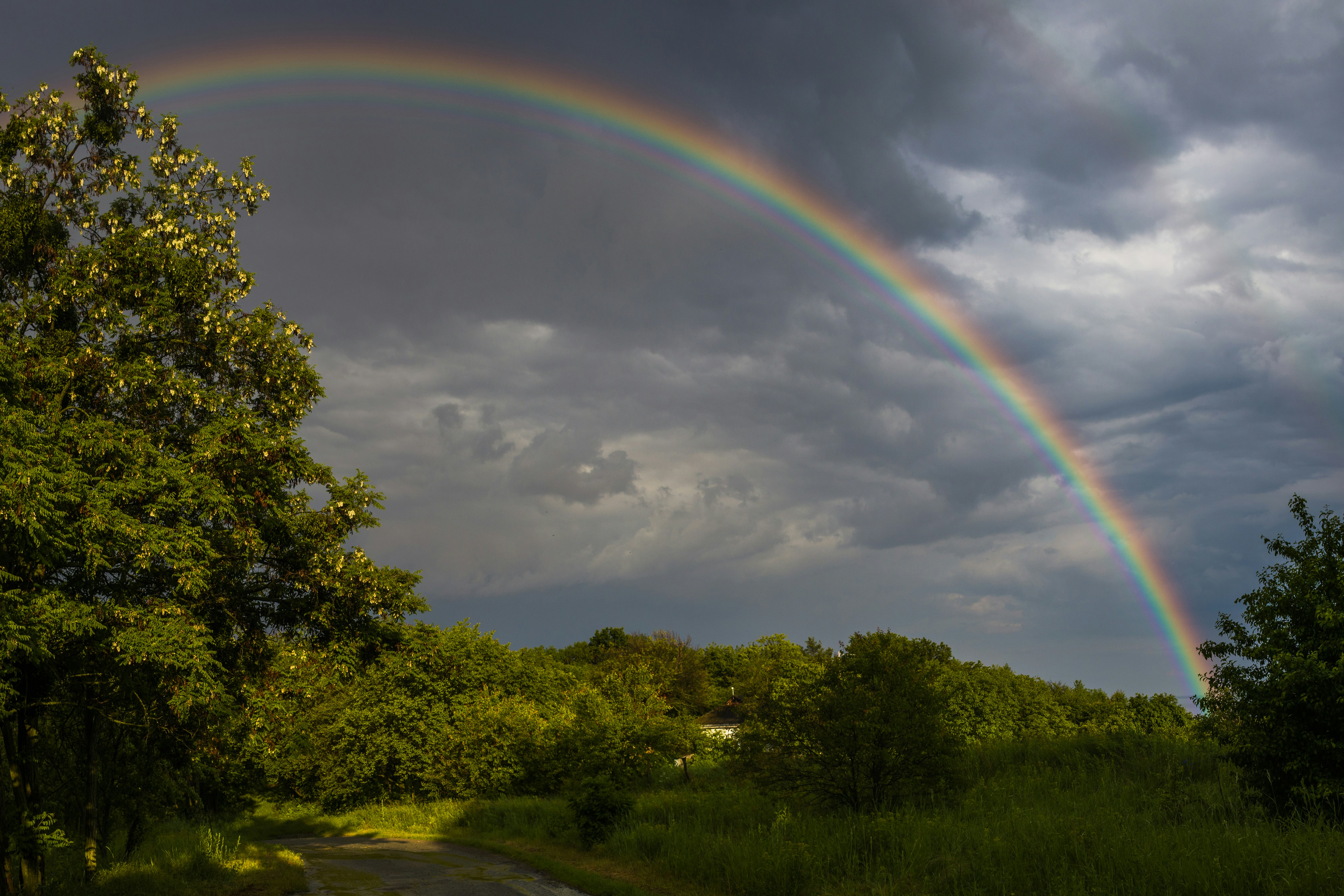 Photo by uin84917798