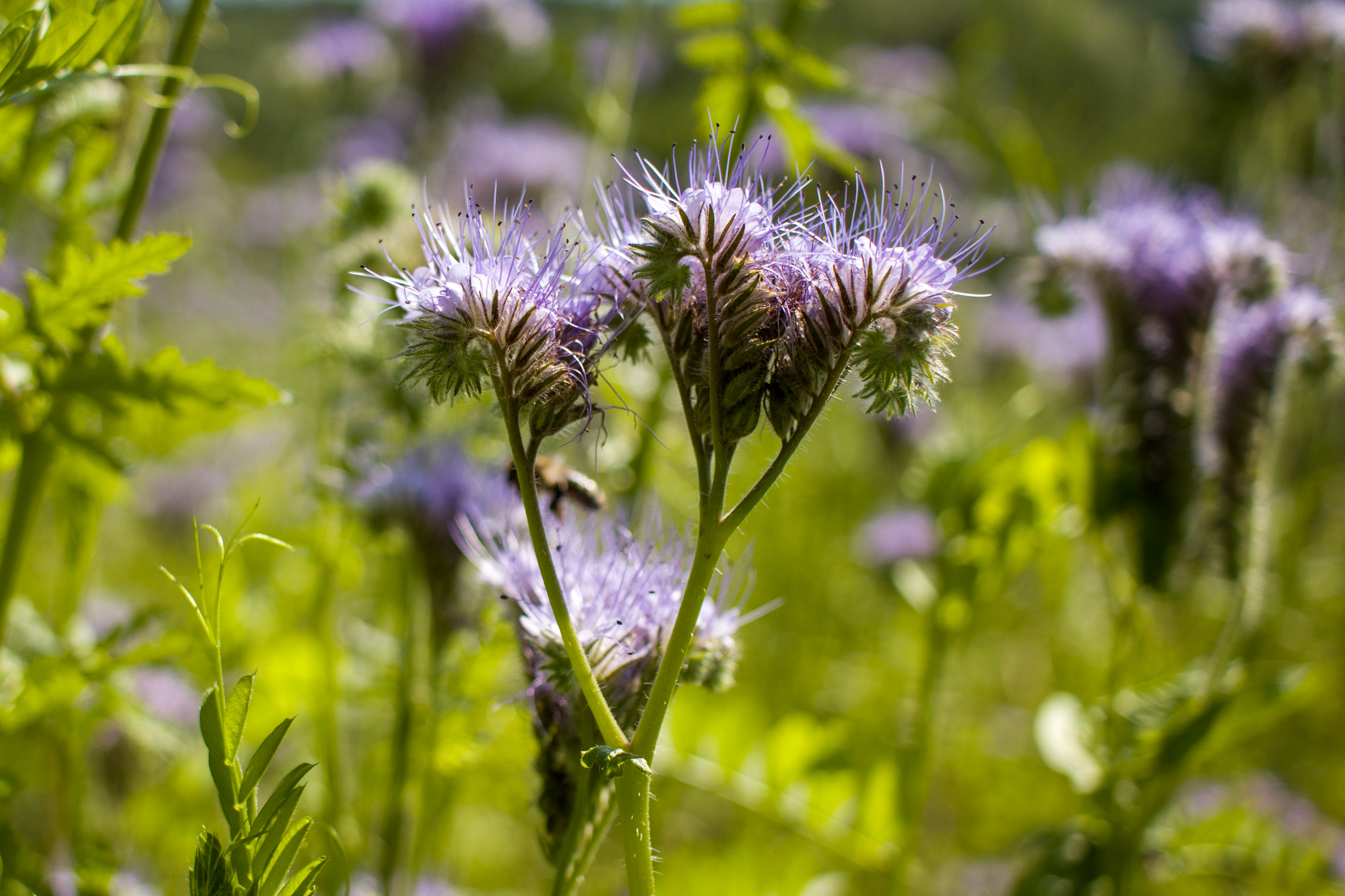 Photo by uin84917798