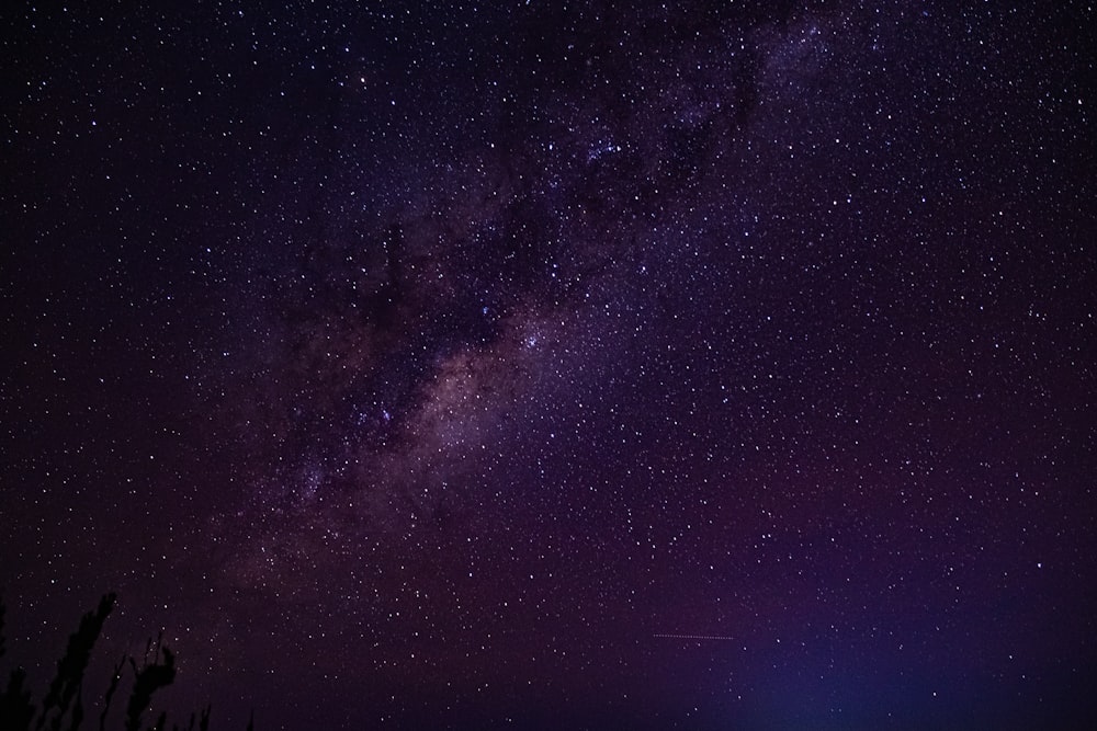 starry night sky over the starry night