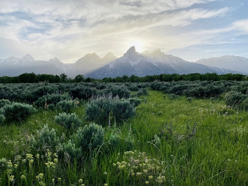 green grass field near mountains during daytime