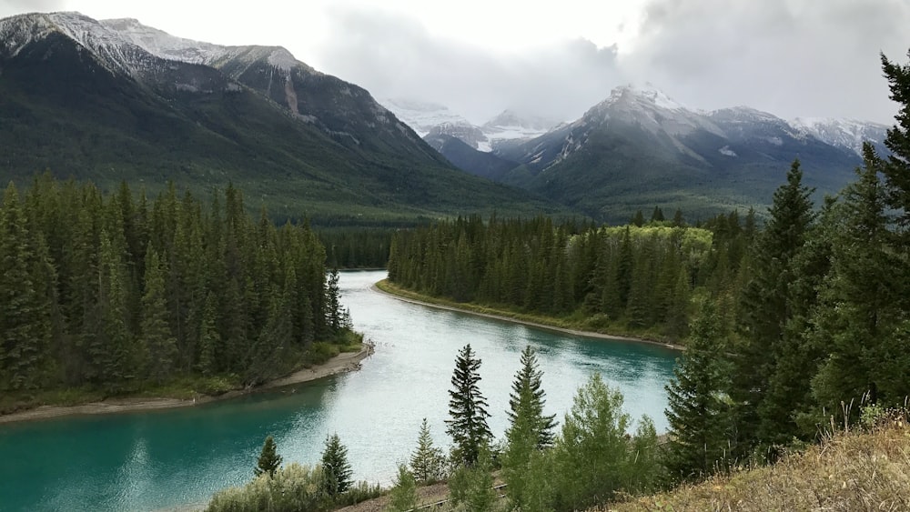 green trees near lake and mountains during daytime