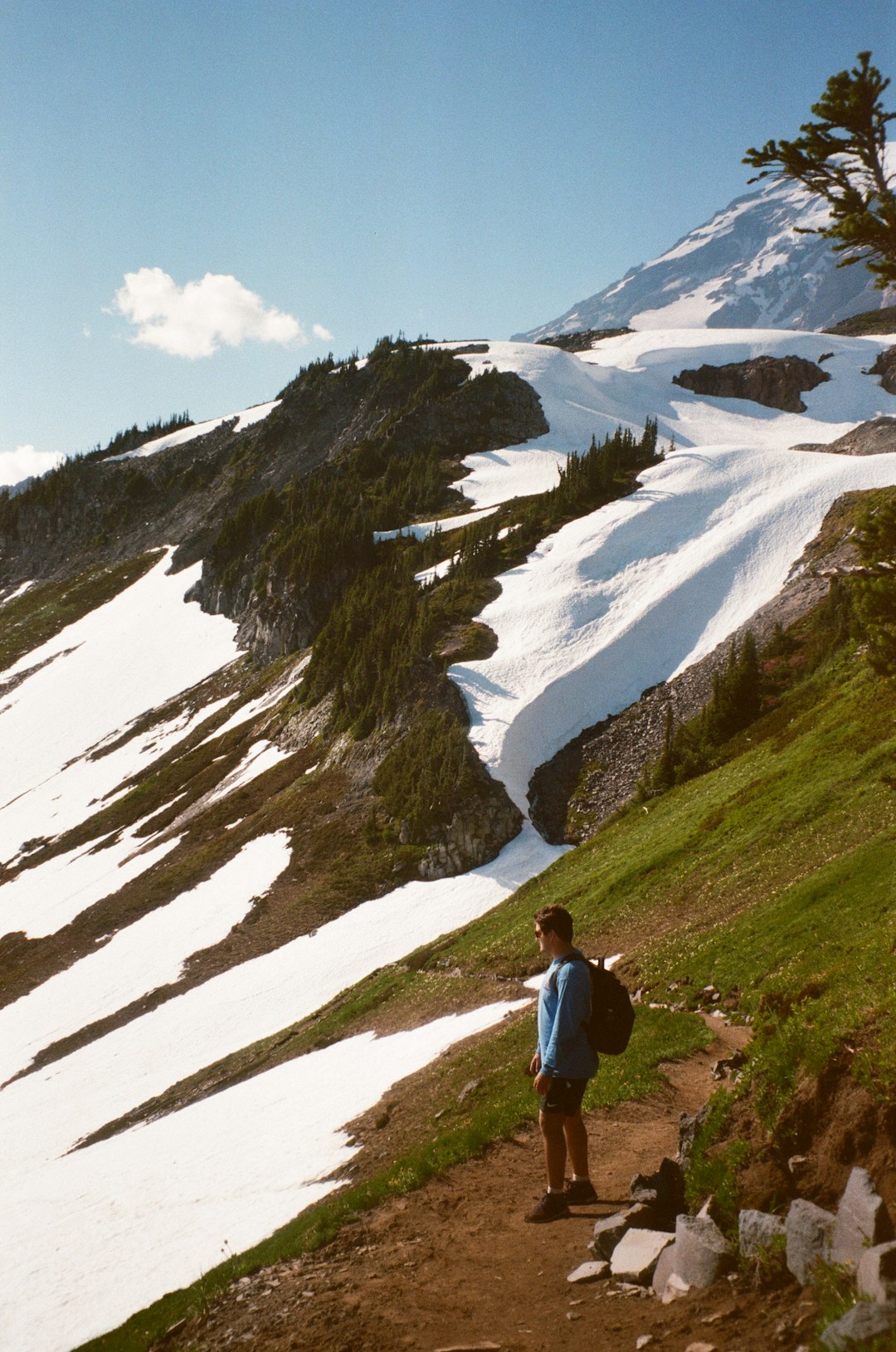 person in white shirt and black pants standing on green grass field near snow covered mountain