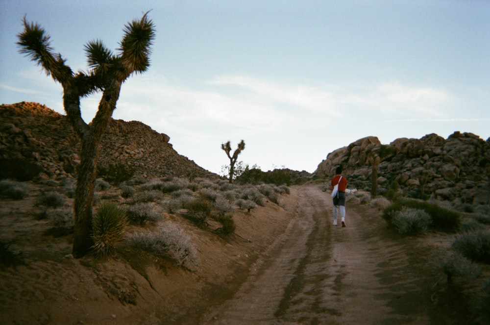 2 person walking on dirt road near green trees during daytime