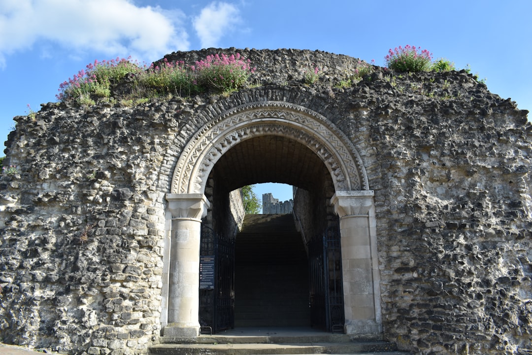 brown concrete arch near purple and green trees during daytime