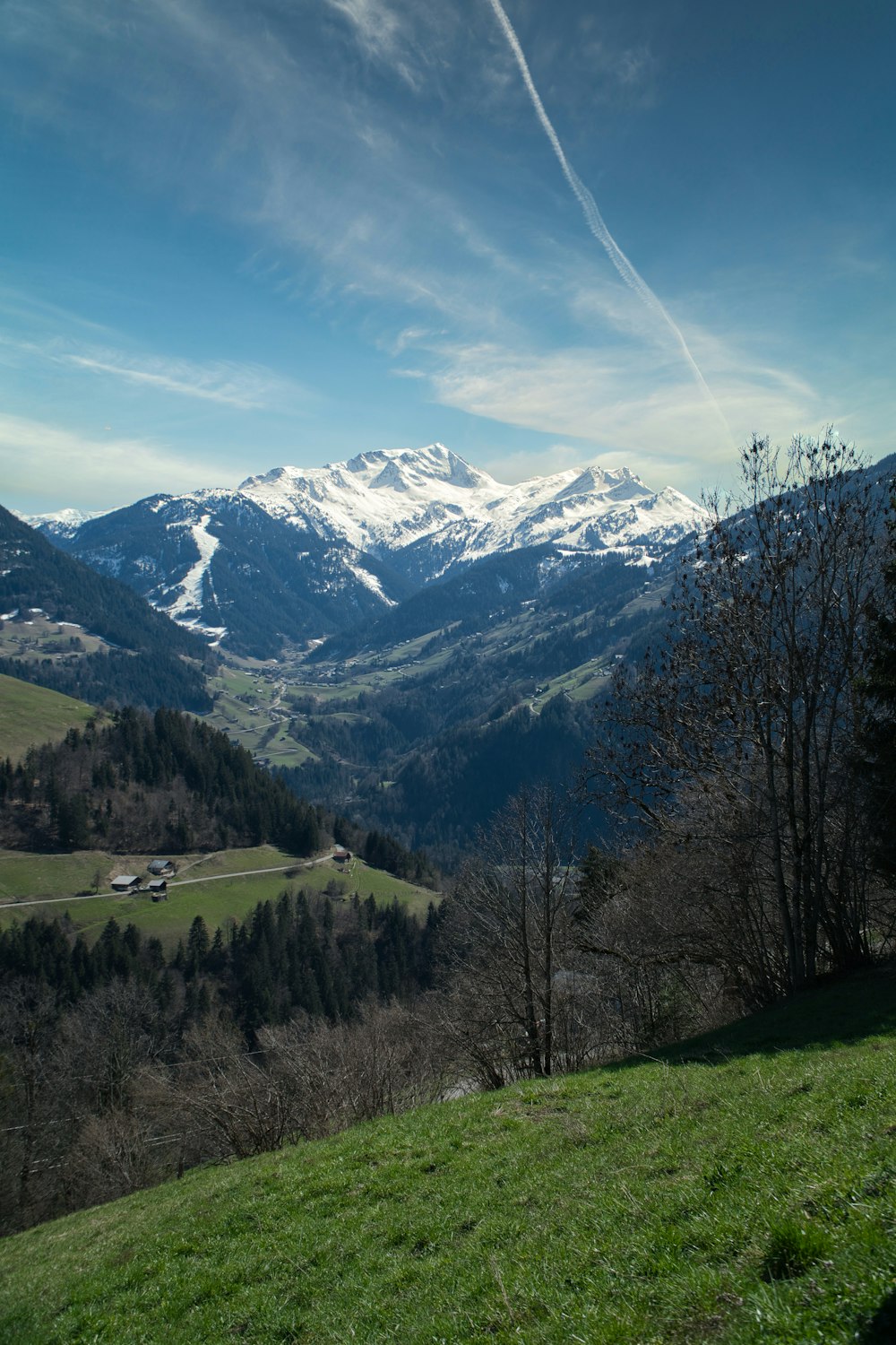 green trees on mountain under blue sky during daytime