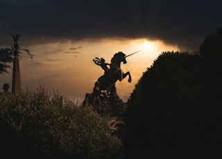 silhouette of man holding stick during sunset