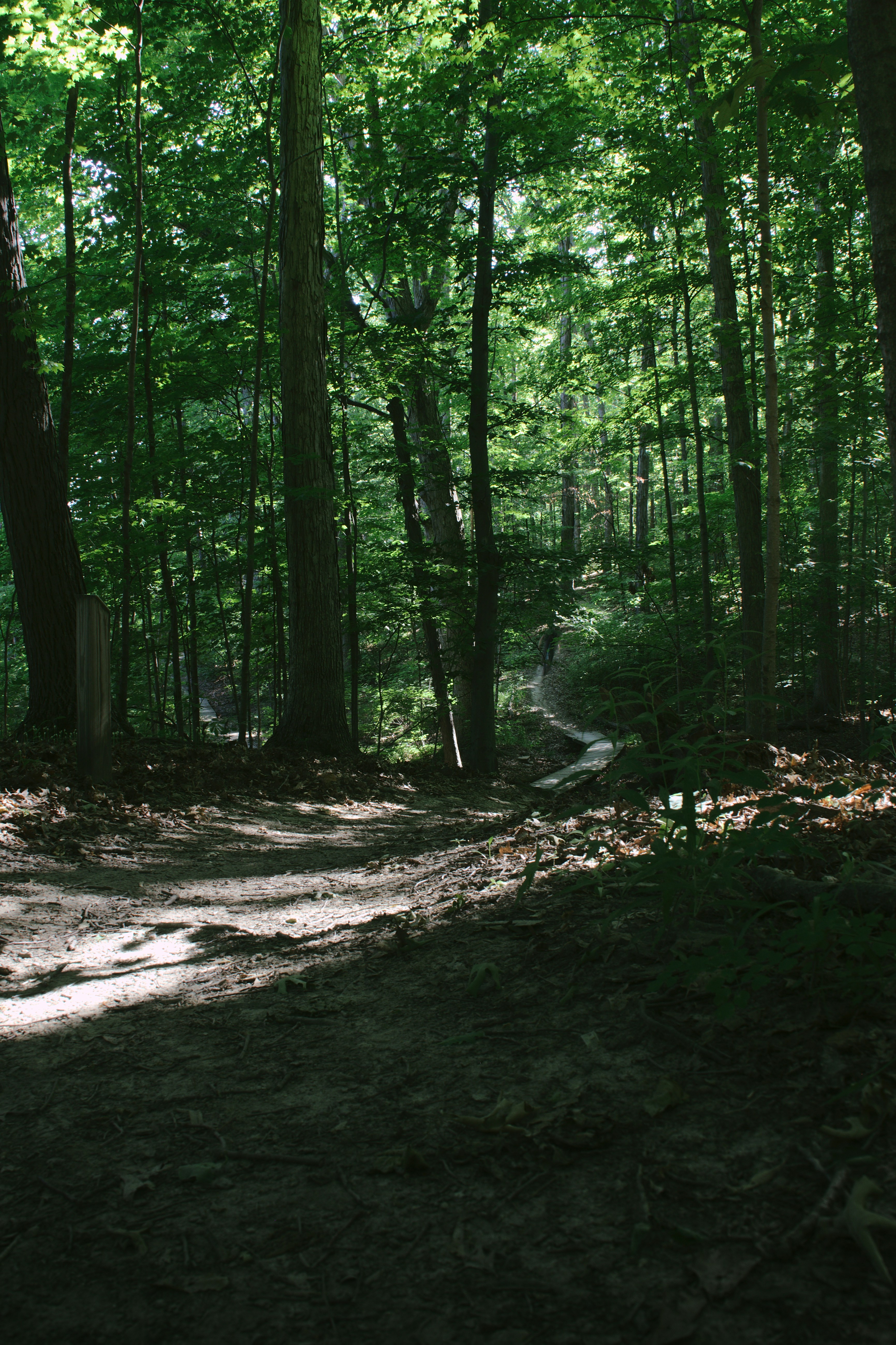 Photo by mrgreatheart