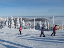 Skiers glide across a snowy landscape with snow-covered trees lining the background. The sky is clear and blue, contrasting with the white snow. Three people are dressed in winter clothing, two wearing helmets and ski gear, while a scenic mountain view stretches into the hazy distance.