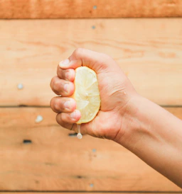 Lemon Squeezy is a platform for selling and handling digital items