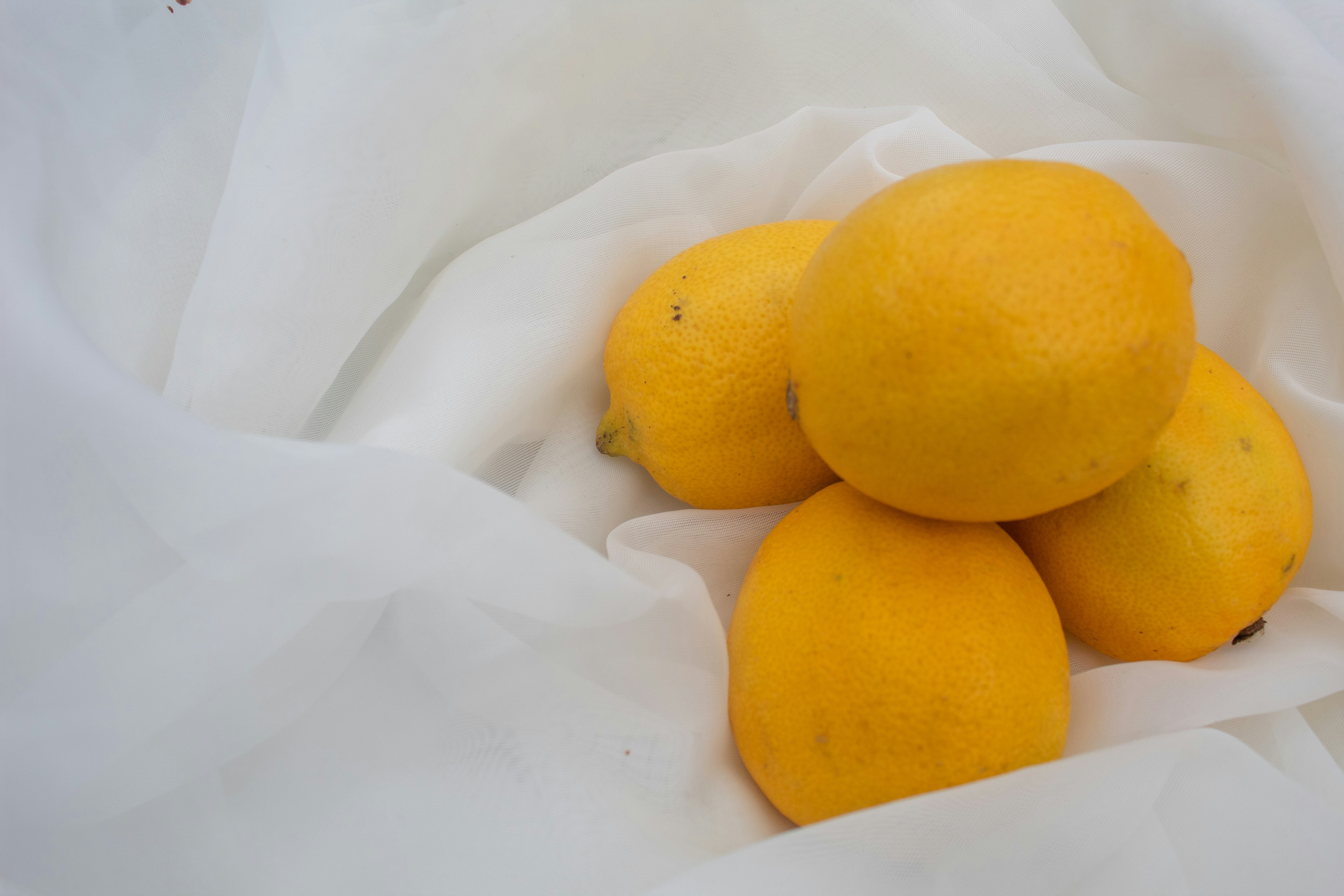 yellow lemon on white textile