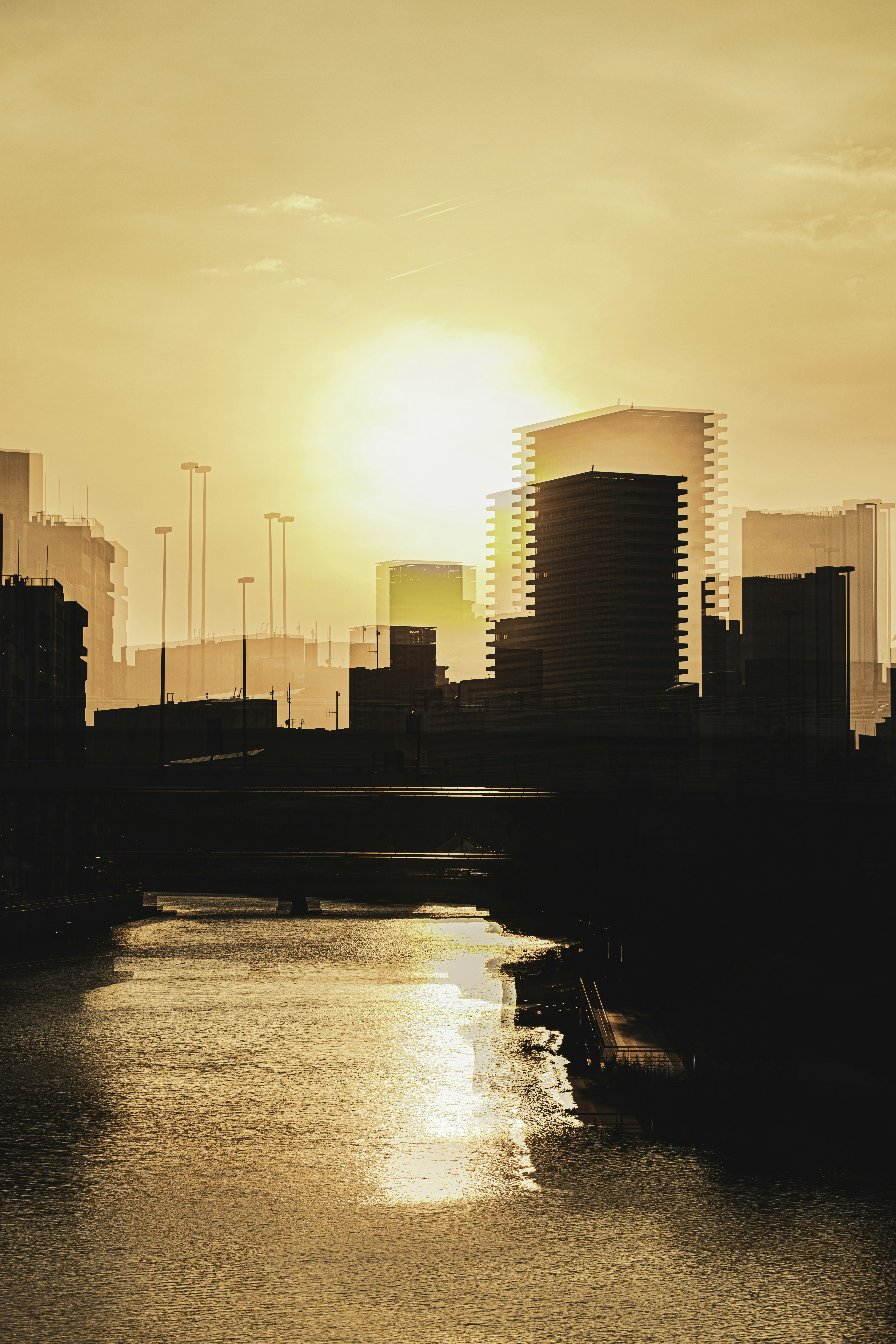 Photo by duongtrungthinh