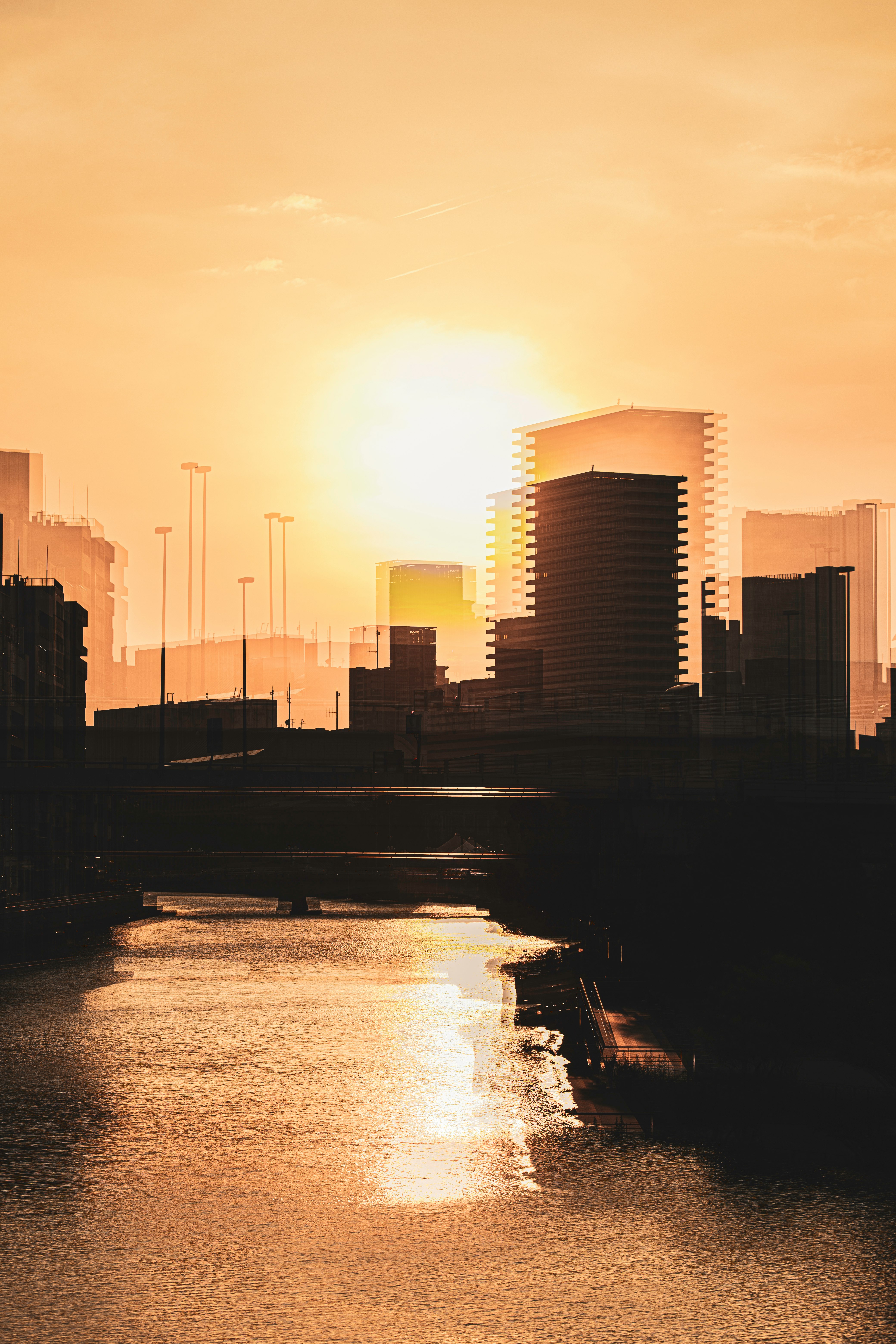 city skyline during sunset with body of water