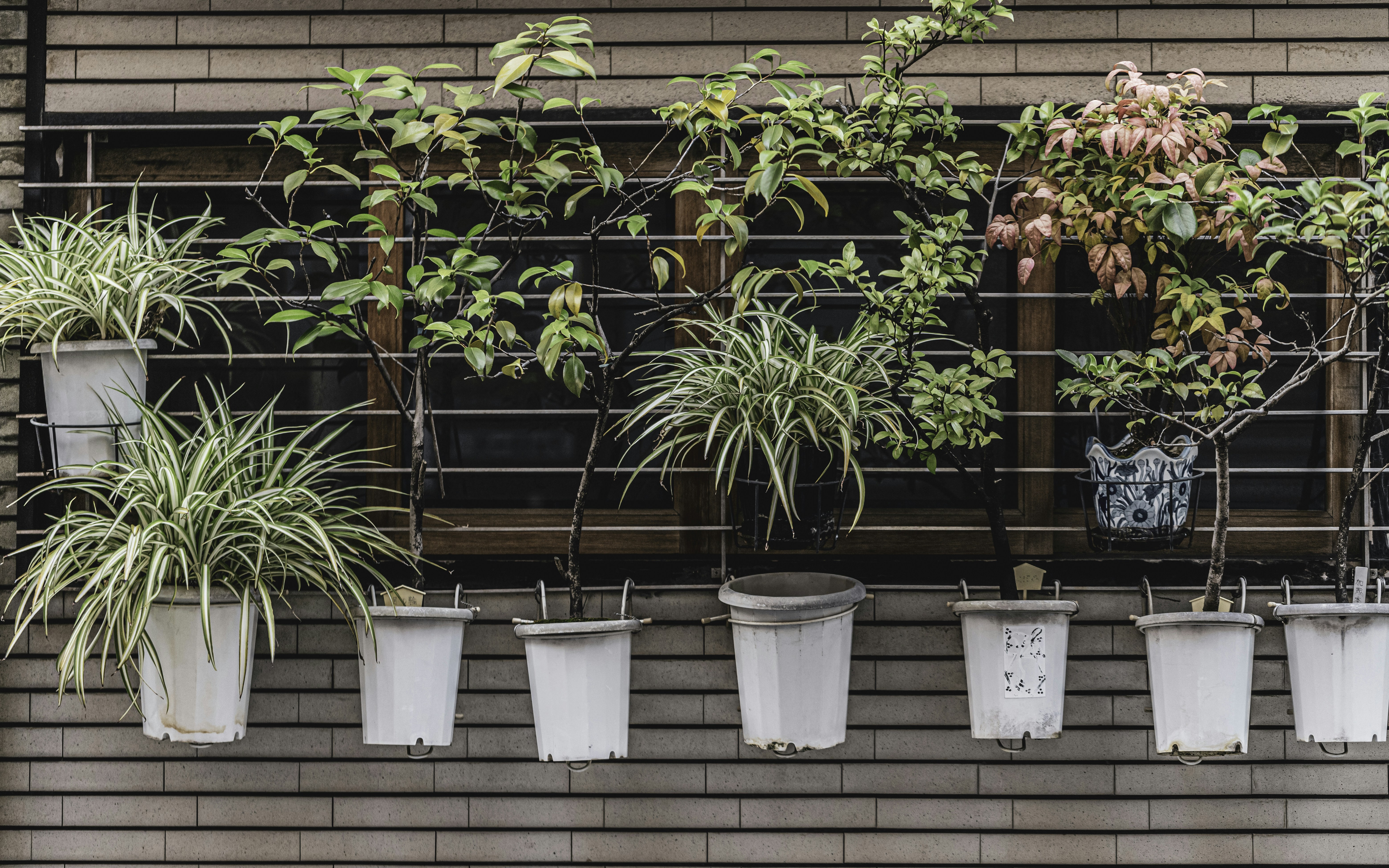 Photo by duongtrungthinh