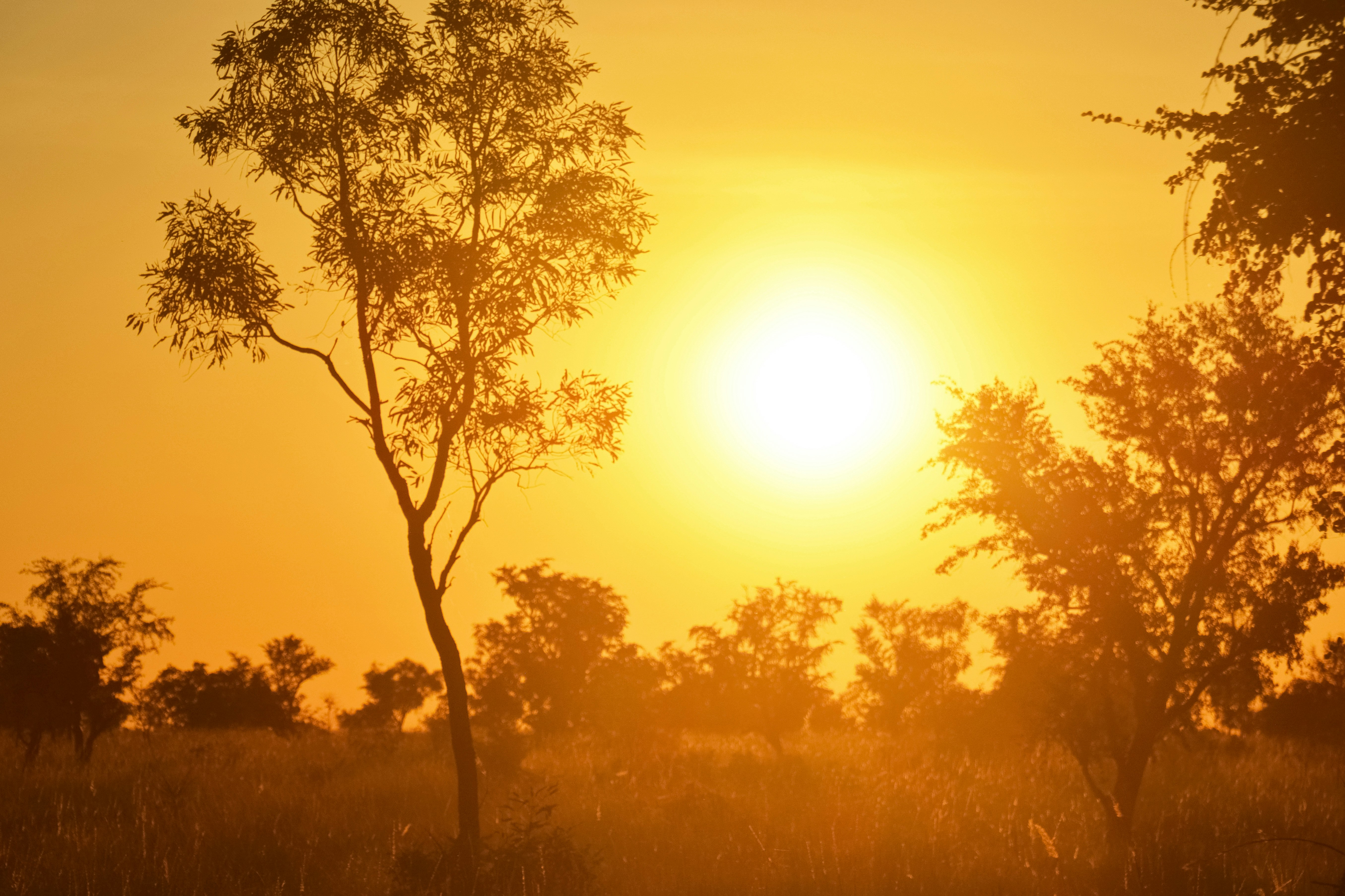 What the different heat warnings mean as Met Office extends amber alert
