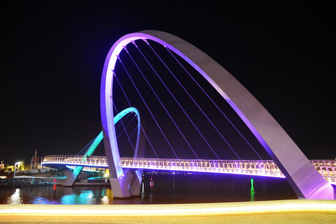 blue and white bridge during night time