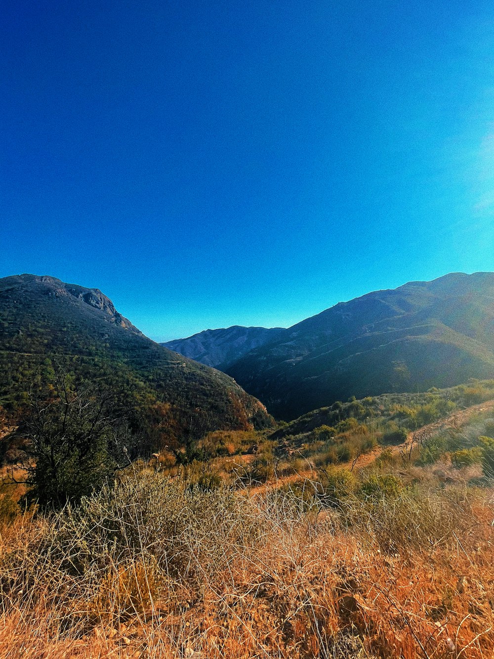 Montañas verdes y marrones bajo el cielo azul durante el día