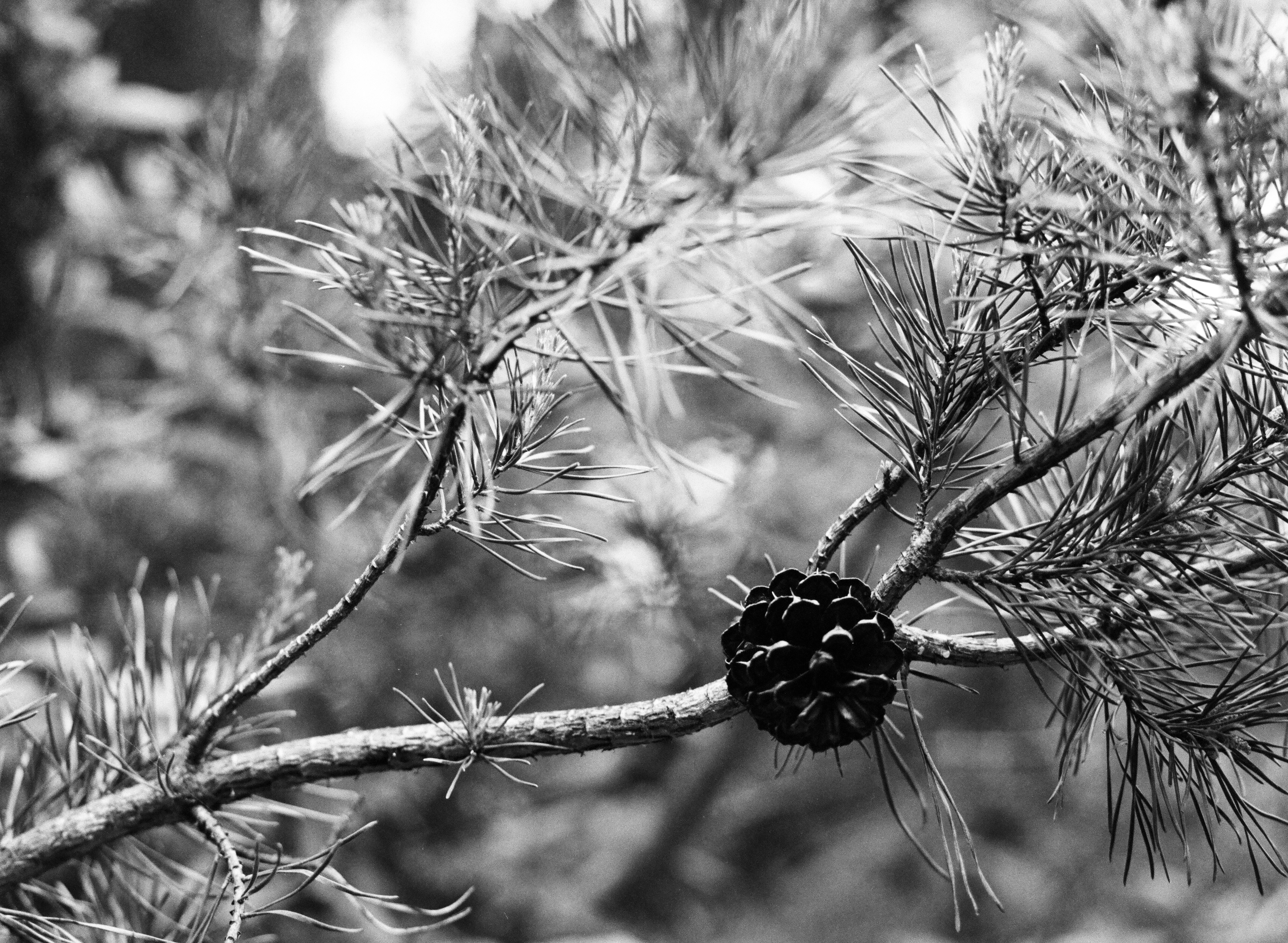 Photo by jantesberger91