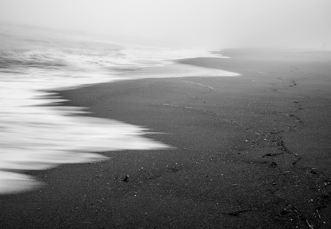 grayscale photo of sand and body of water