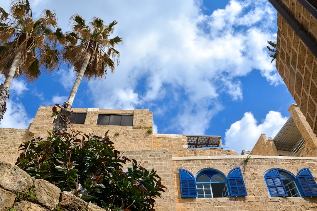 brown concrete building near green tree under blue sky during daytime