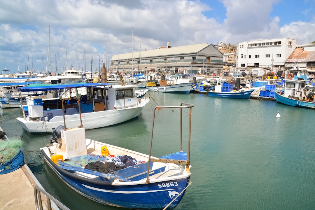 blue and white boat on sea during daytime